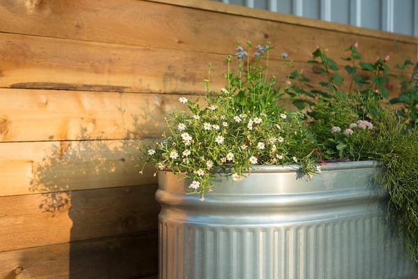 Mustard Seed B&B On The Llano エクステリア 写真